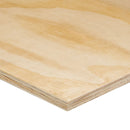 Elliotis Pine Plywood