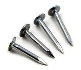 Stainless Steel Clout Nails